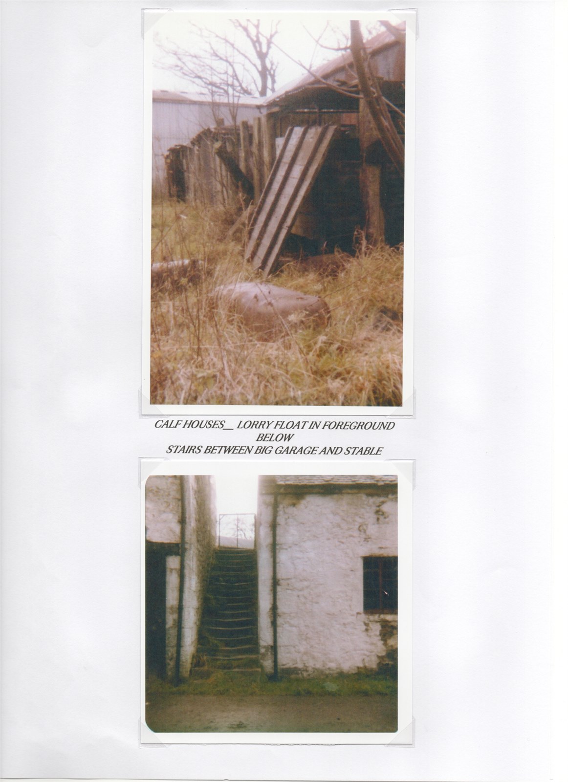 Scan 32