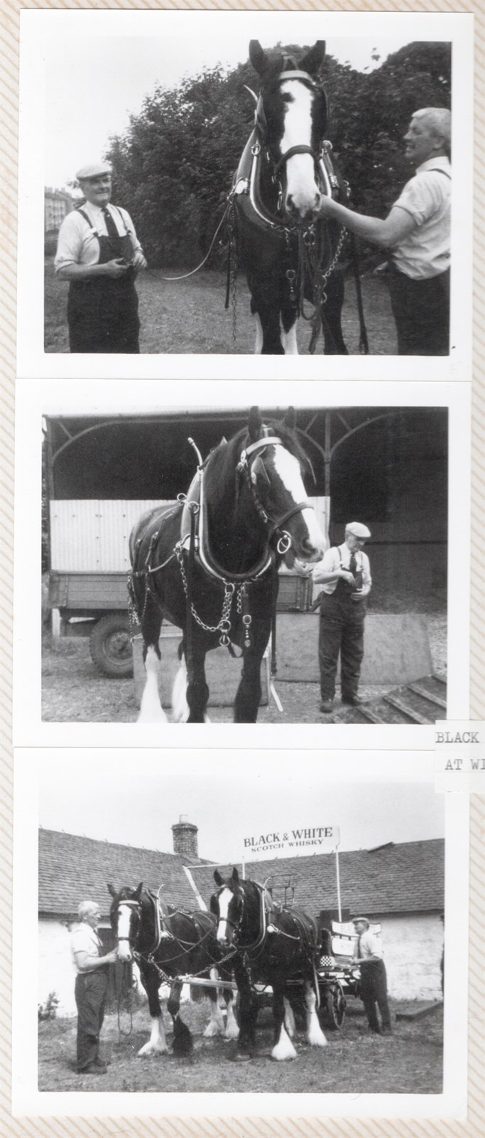 Black and White Whisky team at Windlaw Farm 1973