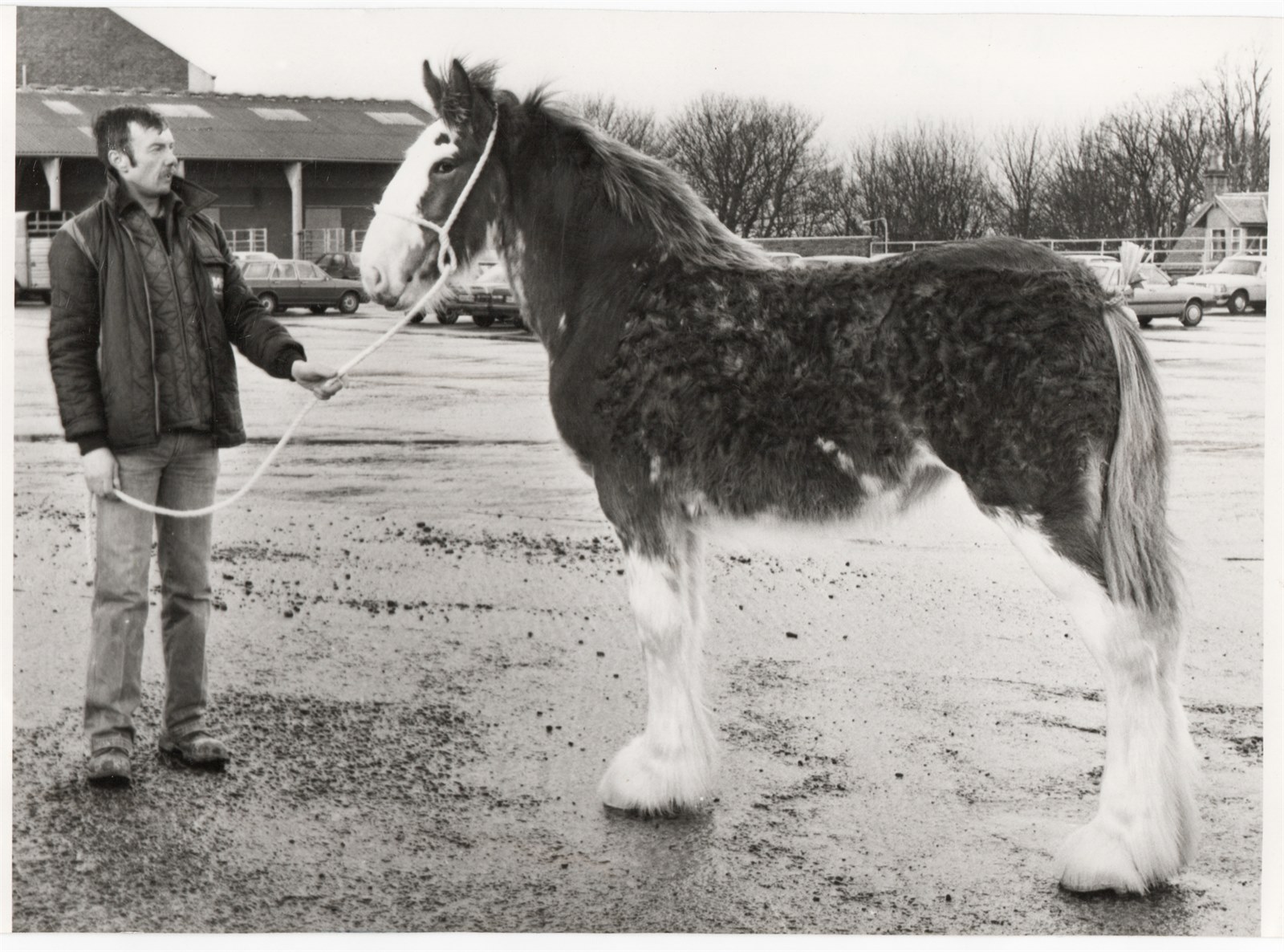 Robert Goldie  with Princetown Lucinda