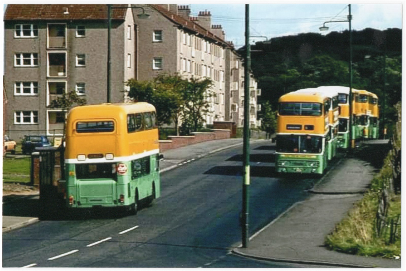 Buses on Ardencraig Rd.
