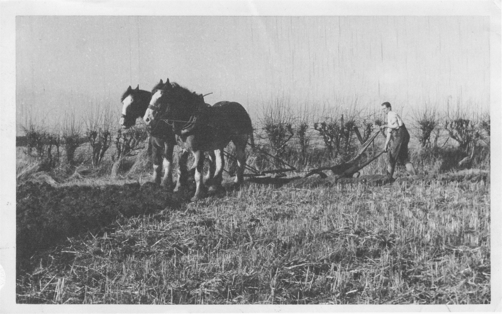 Paul ploughing at Windlaw