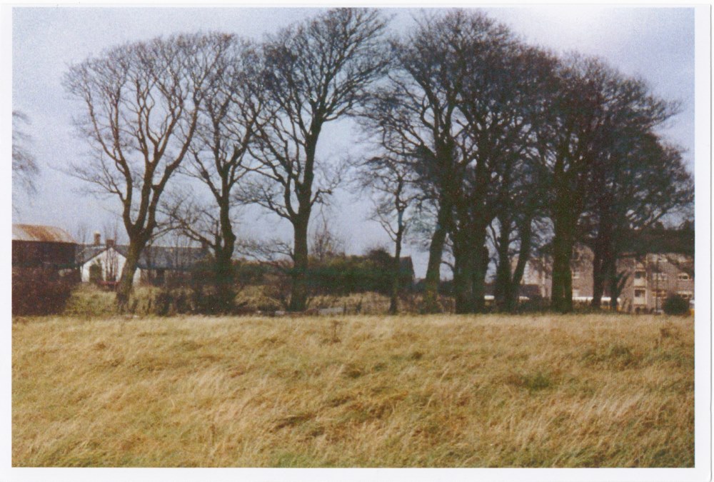 Windlaw Farm