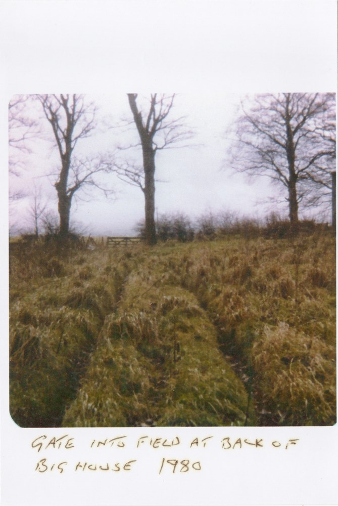 Windlaw Farm