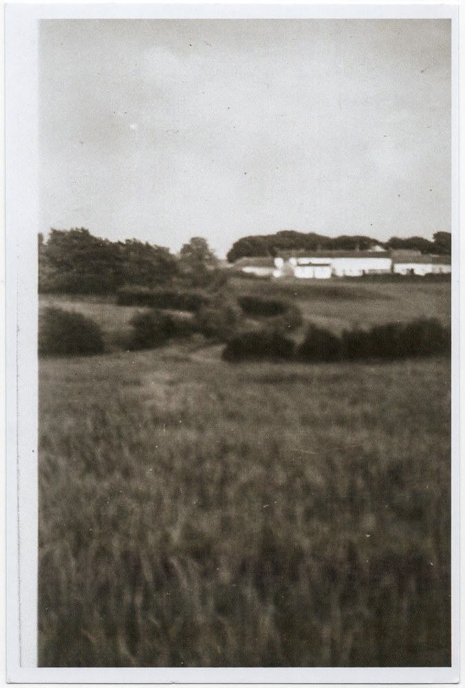 Windlaw Farm