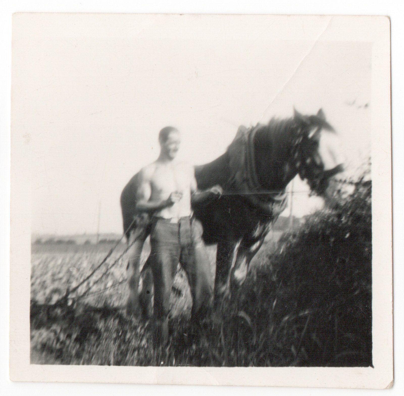 Paul Winkler at Windlaw Farm